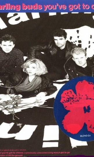 The Darling Buds-0