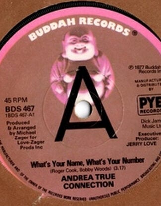 Andrea True Connection-0