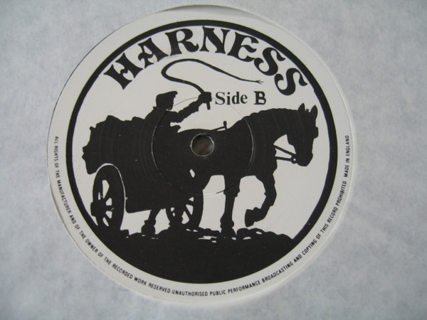 Harness (5)-3