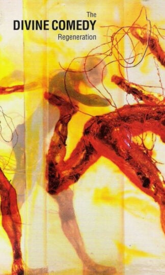 The Divine Comedy-0