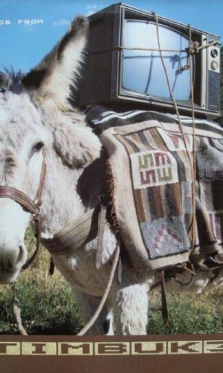 Greetings From Timbuk 3 (UK 1986):Timbuk 3