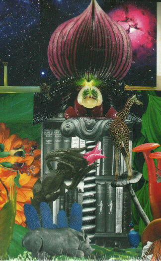 The Apples In Stereo-0