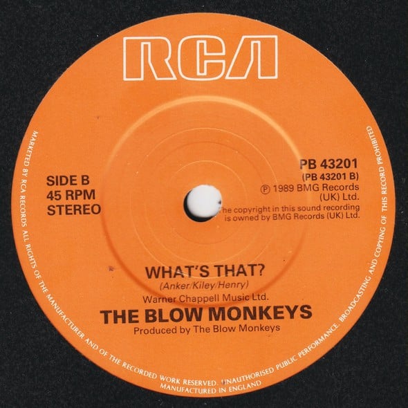 The Blow Monkeys Featuring Sylvia Tella-3