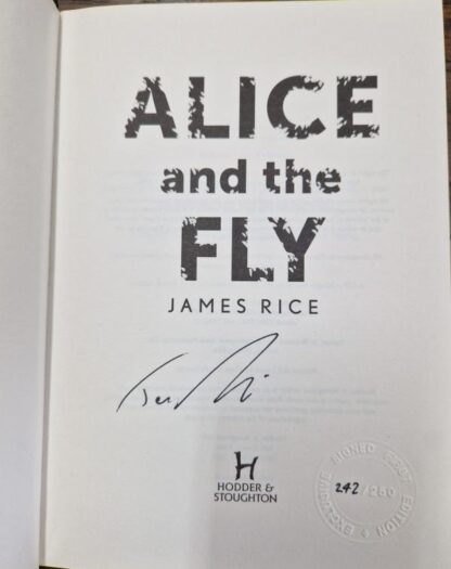Alice and the Fly : James Rice - Image 2