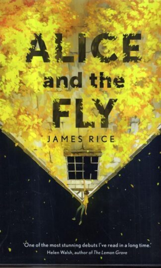 Alice and the Fly : James Rice