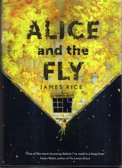 Alice and the Fly : James Rice