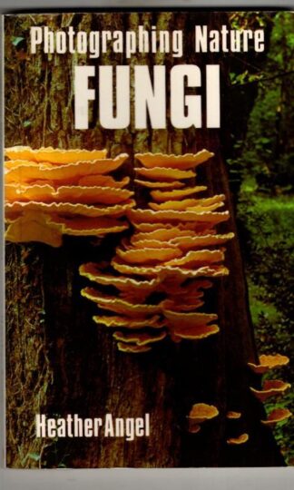 Fungi : Photographing Nature Series : Heather Angel