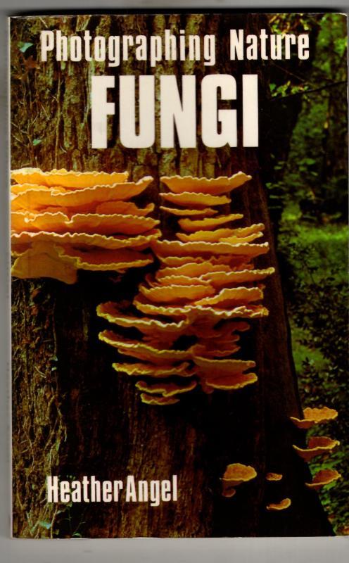 Fungi : Photographing Nature Series : Heather Angel