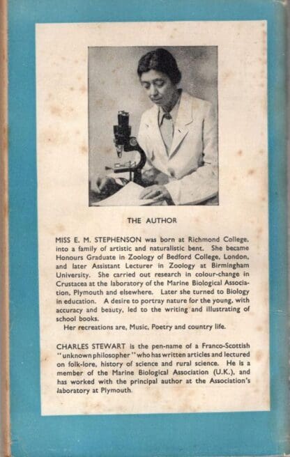 Animal camouflage:Ellen Mary Stephenson - Image 2