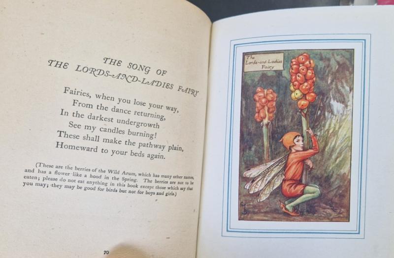 The Book of the Flower Fairies : Cicely M. Barker - Image 2