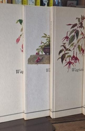Wagtails Book of Fuschias (5 vols.) : Eileen Saunders