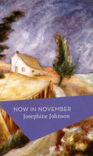 Now In November : Josephine Johnson