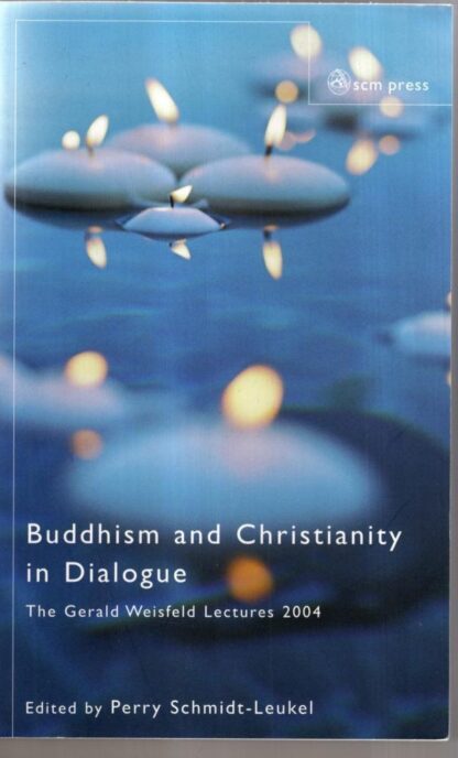 Buddhism and Christianity in Dialogue : Perry Schmidt-Leukel