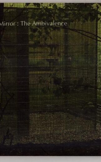 The Northern Mirror: The Ambivalence : Alan Johnston