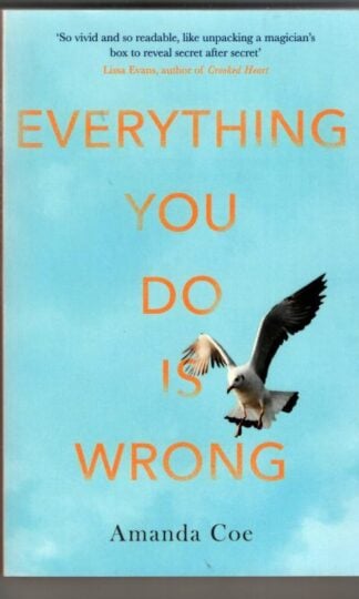 Everything You Do Is Wrong : Amanda Coe
