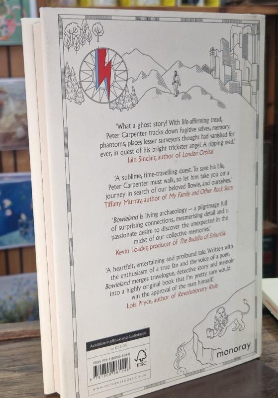 BOWIELAND: Walking In The Footsteps Of David : Peter Carpenter - Image 2