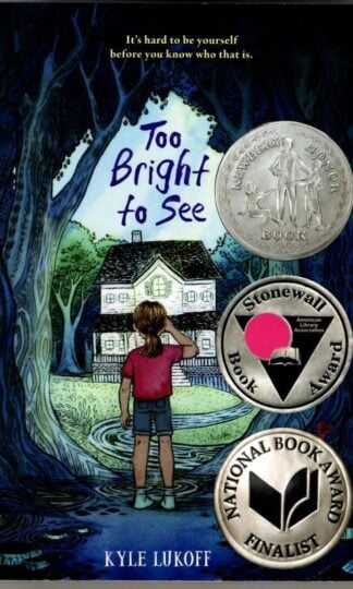 Too Bright to See : Kyle Lukoff