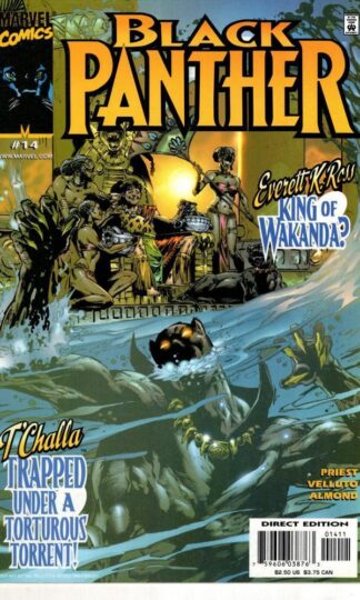 Black Panther #14 2000:Marvel Comics