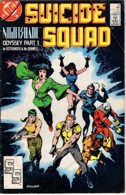 Suicide Squad #14:Ostrander