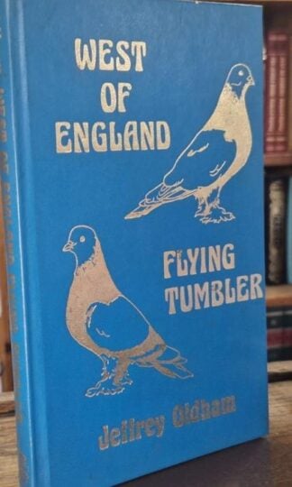 West of England Flying Tumbler : Jeffrey Oldham