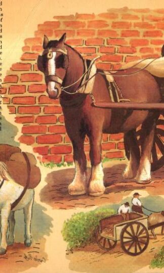 Kingdom of the workhorse : A.J. Dampier
