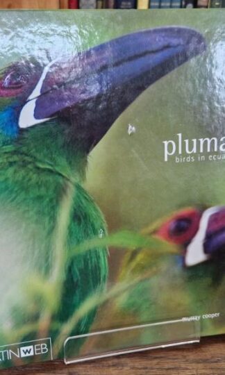 Porlumas Birds in Ecuador : Murray Cooper