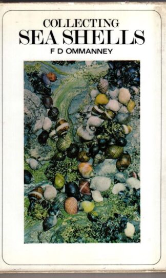 Collecting sea shells:F. D. Ommanney