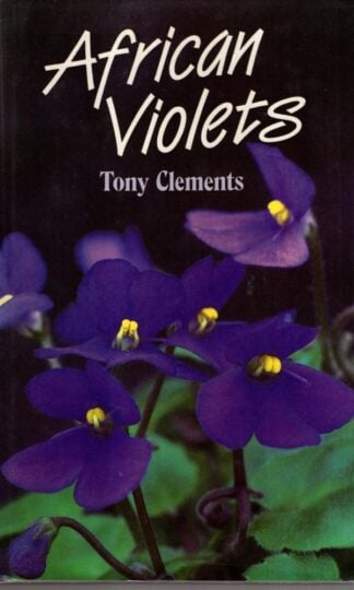 African Violets : Tony Clements