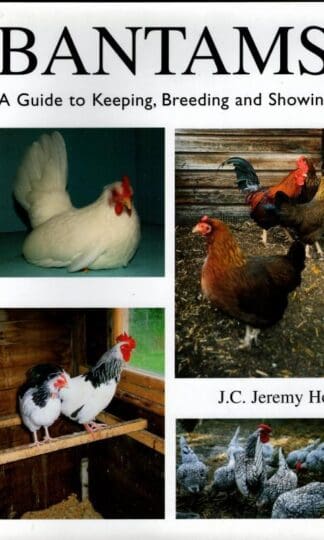 Bantams, A Guide to Keeping, Breeding and Showing : Jeremy Hobson