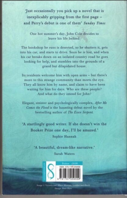 After Me Comes the Flood:Sarah Perry - Image 2