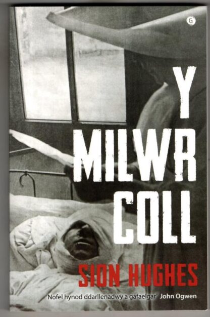 Milwr Coll, Y : Sion Hughes