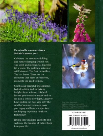 Nature’s Wonders: Moments that mark the seasons : Jane V. Adams - Image 2
