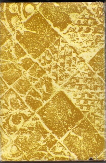 Medieval Floor Tiles : Jane A. Wight - Image 2