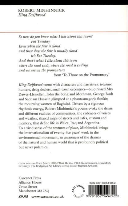 King Driftwood : Robert Minhinnick - Image 2