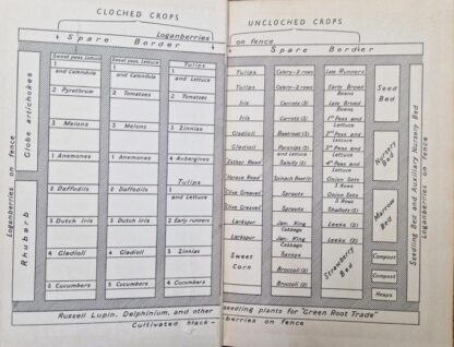 Making your garden pay : W. P .A. Robinson - Image 2