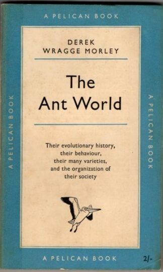 The Ant World : Derek Wragge Morley