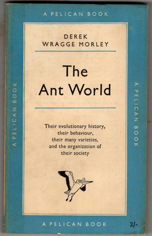 The Ant World : Derek Wragge Morley