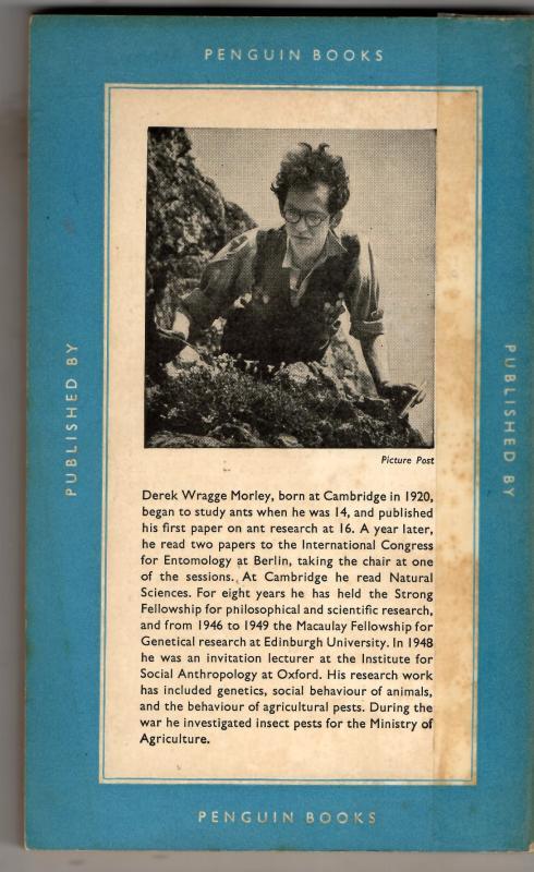 The Ant World : Derek Wragge Morley - Image 2