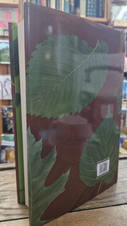 The Book Of Leaves : J. Allen Coombes - Image 2
