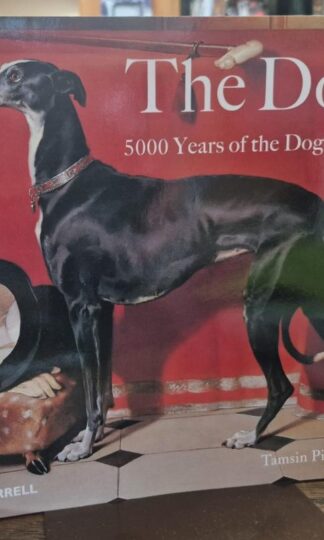 The Dog: 5000 Years of the Dog in Art : Tamsin Pickeral