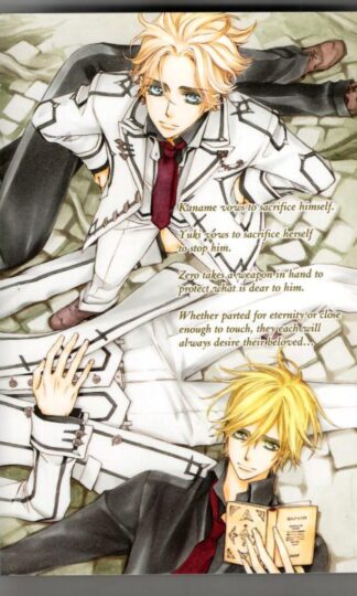 Vampire Kinght Vol.19 (Limited edition) : Matsuri Hino