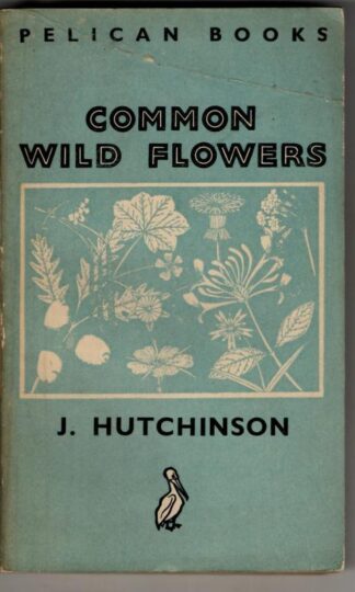 Common Wild Flowers : J. Hutchinson