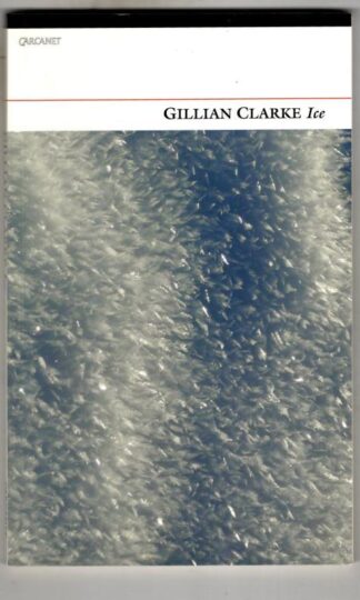 Ice : Gillian Clarke