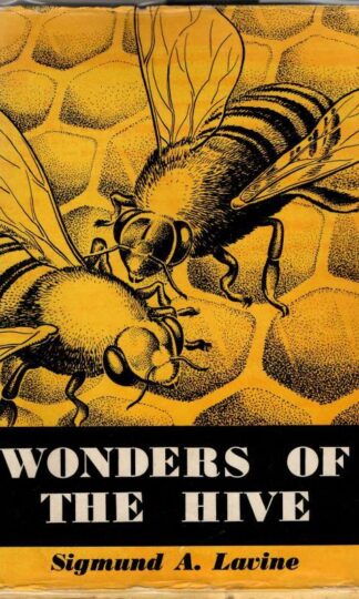 Wonders of the hive : Sigmund A. Lavine