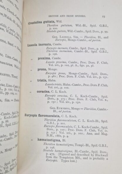 List of British & Irish spiders : Rev. O. Pickard-Cambridge - Image 2