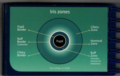 Integrated Iridology Fundamentals Flashbook (Integrated Iridology The fundamentals flashbook) : Toni Miller - Image 2