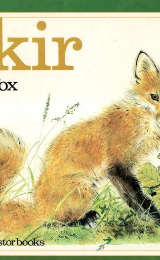 Skir the Fox (Pere Castor books):Andree-Paule Fournier