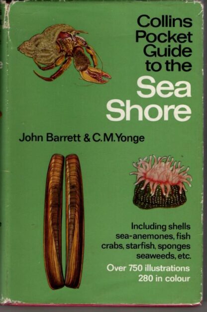 Collins Pocket Guide to the Sea Shore : John H. Barrett