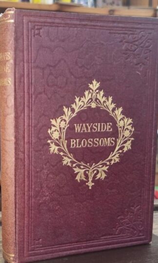 Wayside Blossoms : Matthew Harman