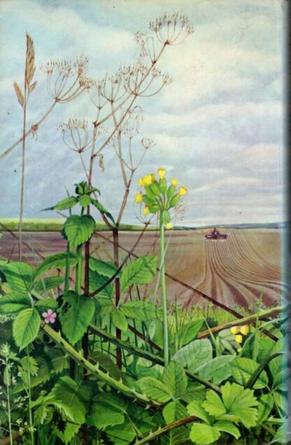The Common Ground: A Place for Nature in Britain's Future? : Richard Mabey - Image 2